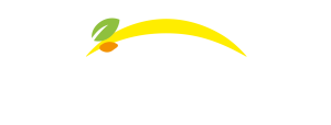 Bonduelle - Atpakaļ uz galveno